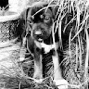 Meet your Posher, Truthseeker&